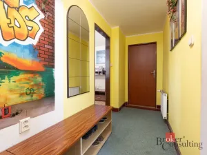 Prodej rodinného domu, Brumovice, Krátká, 273 m2