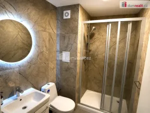 Pronájem bytu 1+1, Zlín, Potoky, 32 m2