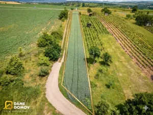 Prodej pozemku, Vlkoš, 1293 m2