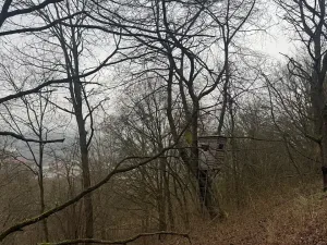 Prodej lesa, Ústí nad Labem, 41840 m2