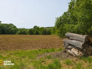 Prodej pozemku, Labuty, 553 m2