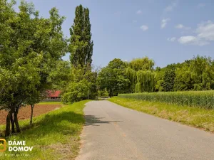 Prodej pozemku, Labuty, 553 m2