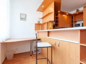 Pronájem bytu 1+kk, Praha - Žižkov, Jeseniova, 31 m2