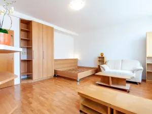 Pronájem bytu 1+kk, Praha - Žižkov, Jeseniova, 31 m2