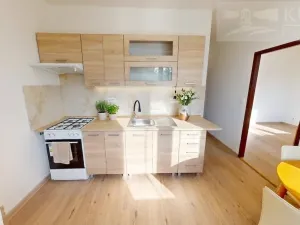 Pronájem bytu 2+1, Příbram, Pod Haldou, 52 m2