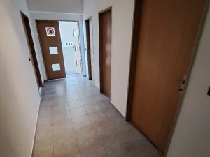 Pronájem výrobních prostor, Přáslavice, 250 m2