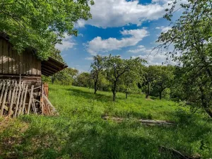 Prodej pozemku pro bydlení, Veliny, 1652 m2