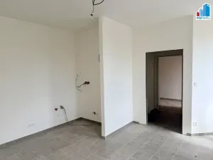 Prodej rodinného domu, Heřmanova Huť, Revoluční, 397 m2