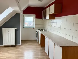 Prodej rodinného domu, Heřmanova Huť, Revoluční, 397 m2
