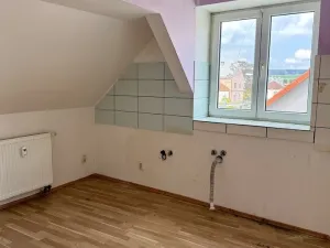 Prodej rodinného domu, Heřmanova Huť, Revoluční, 397 m2