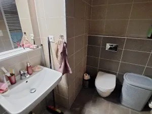 Pronájem bytu 1+kk, Olomouc, Aloise Rašína, 30 m2