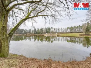 Pronájem chaty, Horšovský Týn - Podhájí, 34 m2