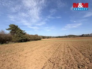 Prodej pole, Drevníky, 4478 m2