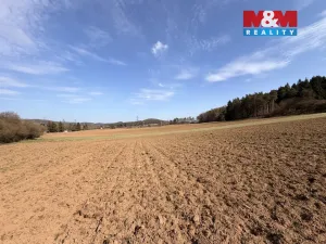 Prodej pole, Drevníky, 4478 m2