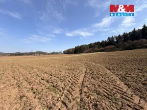 Prodej pole, Drevníky, 4478 m2