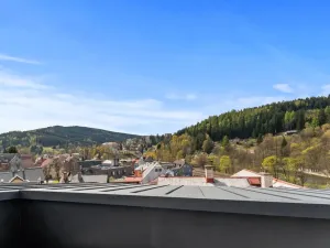 Prodej bytu 1+kk, Tanvald, Raisova, 22 m2