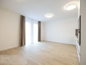 Prodej bytu 1+kk, Brno, Auerswaldova, 35 m2