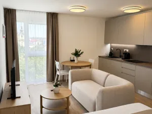 Prodej bytu 1+kk, Brno, Auerswaldova, 35 m2