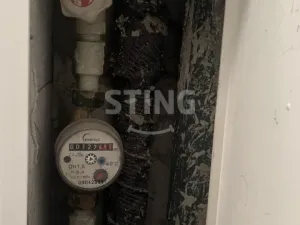 Pronájem obchodního prostoru, Opava, Drůbeží trh, 38 m2