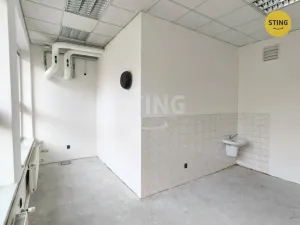Pronájem skladu, Ostrava, Paskovská, 600 m2