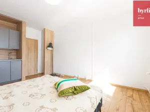 Prodej bytu 1+kk, Opava, Na Pastvisku, 25 m2