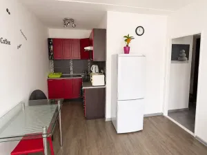 Prodej bytu 2+kk, Most, Josefa Ševčíka, 40 m2