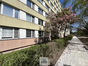 Pronájem bytu 3+1, Praha, Dürerova, 66 m2