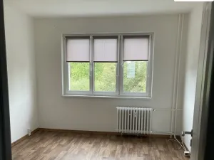 Pronájem bytu 2+1, Cheb, 17. listopadu, 49 m2