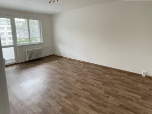 Prodej bytu 2+1, Cheb, 17. listopadu, 49 m2