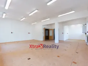 Prodej komerční nemovitosti, Modlany - Drahkov, 2300 m2