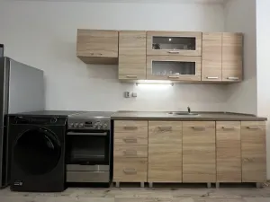 Pronájem bytu 1+1, Ostrava - Zábřeh, Březinova, 41 m2