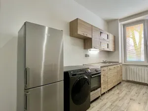 Pronájem bytu 1+1, Ostrava - Zábřeh, Březinova, 41 m2