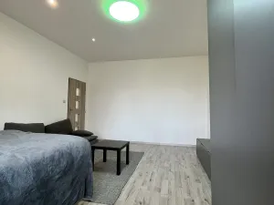 Pronájem bytu 1+1, Ostrava - Zábřeh, Březinova, 41 m2