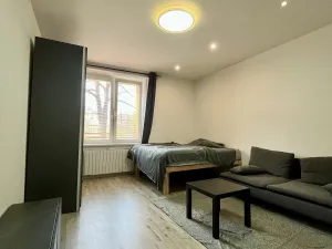 Pronájem bytu 1+1, Ostrava - Zábřeh, Březinova, 41 m2