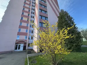 Pronájem bytu 2+1, Tanvald, Palackého, 59 m2