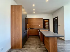 Pronájem bytu 3+kk, Ostrava - Heřmanice, Koněvova, 59 m2