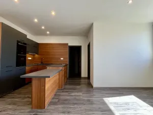 Pronájem bytu 3+kk, Ostrava - Heřmanice, Koněvova, 59 m2