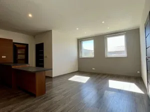 Pronájem bytu 3+kk, Ostrava - Heřmanice, Koněvova, 59 m2