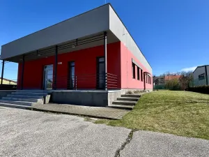 Pronájem bytu 3+kk, Ostrava - Heřmanice, Koněvova, 59 m2