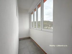 Prodej bytu 2+kk, Ústí nad Labem - Střekov, Purkyňova, 48 m2