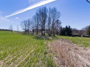 Prodej chalupy, Střížovice, 275 m2