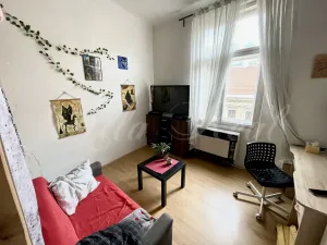 Pronájem bytu 2+1, Brno - Staré Brno, Pekařská, 62 m2