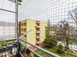 Prodej bytu 3+1, Borovany, Nová, 65 m2
