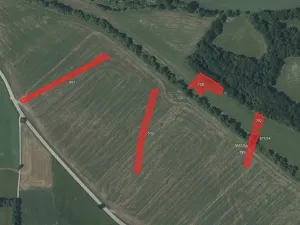 Prodej pole, Brloh, 126772 m2