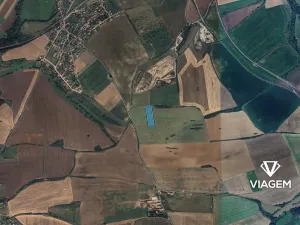 Prodej pole, Stašov, 8842 m2