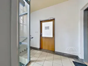 Pronájem bytu 1+kk, Praha - Libeň, Budilova, 41 m2