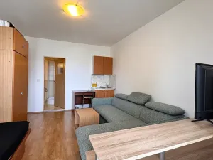 Pronájem bytu 1+kk, Brno, Mikšíčkova, 22 m2