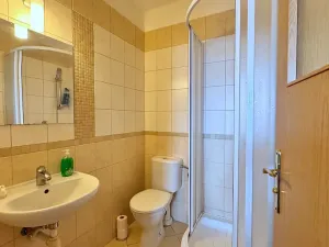 Pronájem bytu 1+kk, Brno, Mikšíčkova, 22 m2