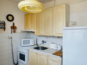 Pronájem bytu 2+1, Kolín, Dělnická, 56 m2