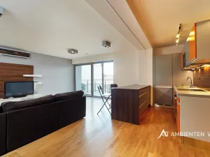 Pronájem bytu 2+kk, Brno, Kopečná, 87 m2